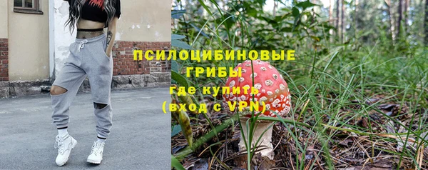 винт Алексин