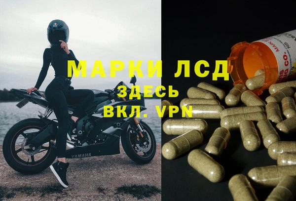 винт Алексин