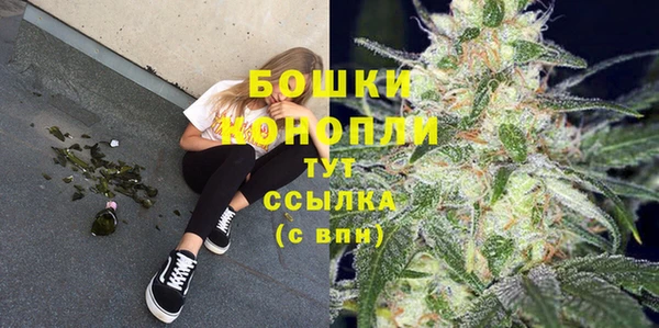 ПСИЛОЦИБИНОВЫЕ ГРИБЫ Сосновый Бор