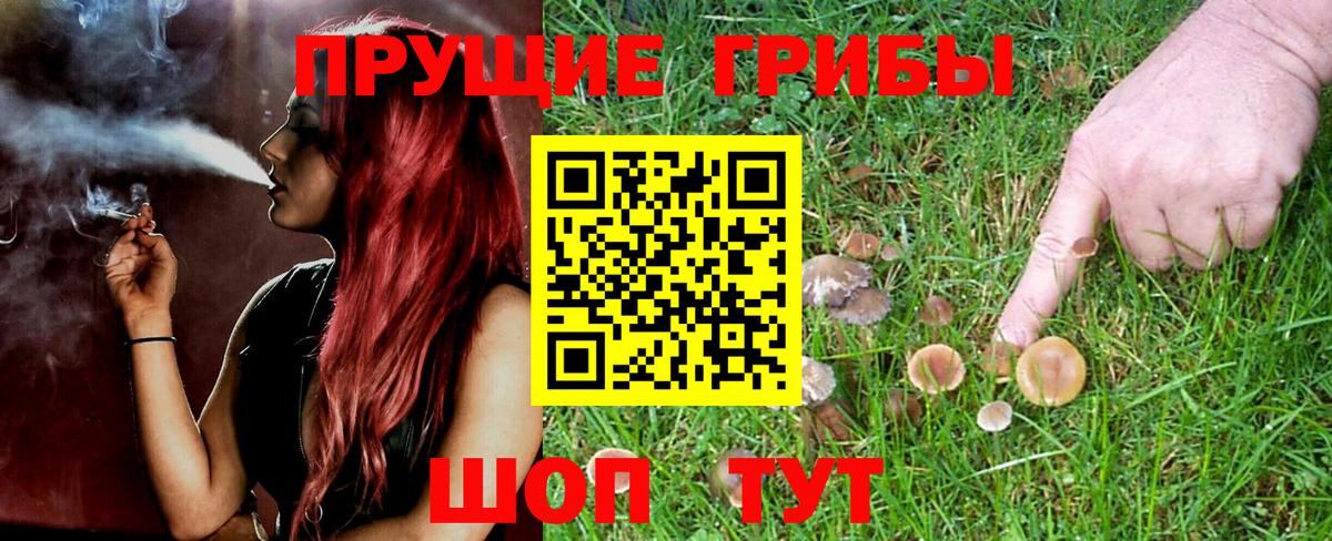 Ахтубинск  Галлюциногенные грибы прущие грибы  Вход с VPN 